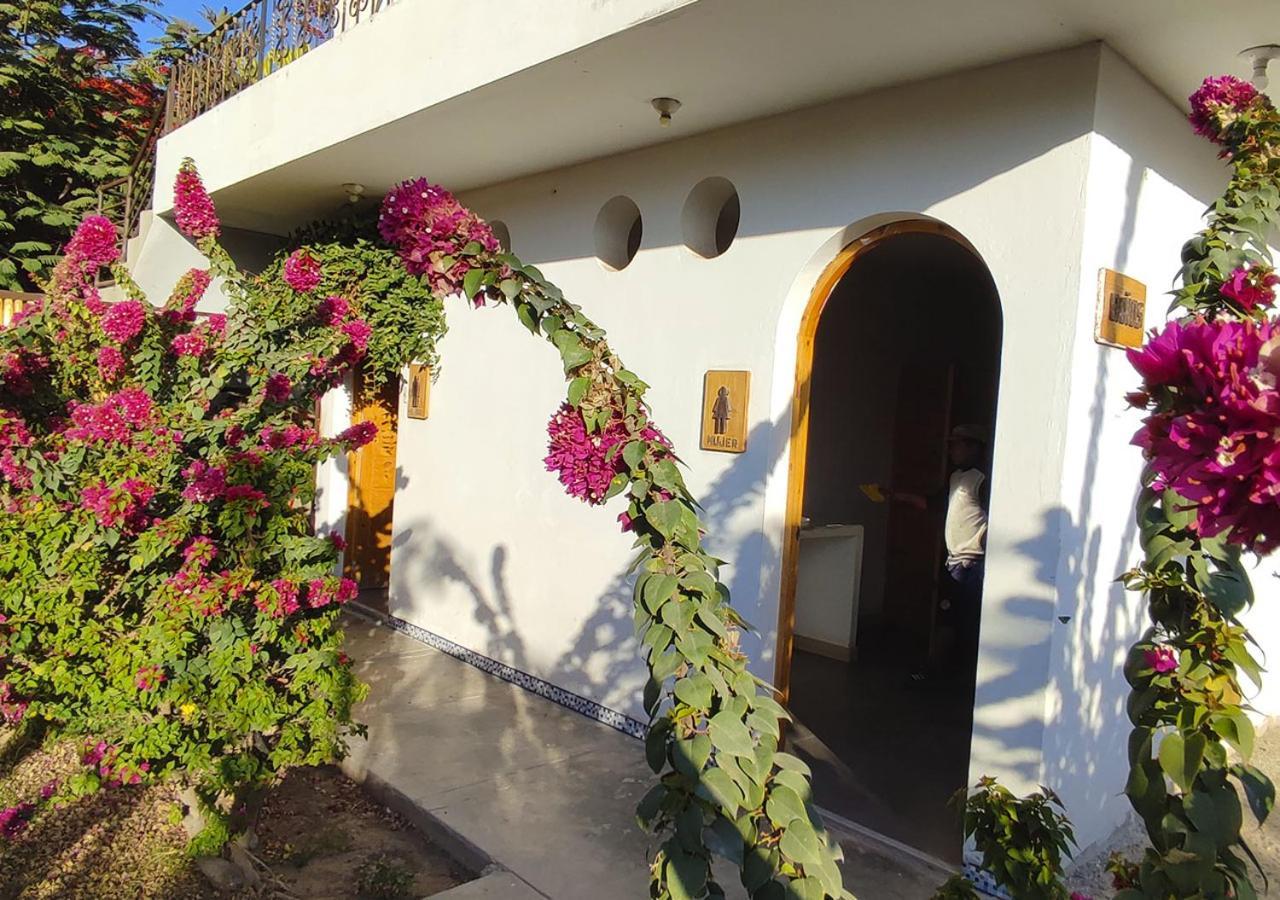 Nazca Lodge Buitenkant foto